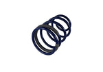 Ford Racing M-5300-KA - Suspension Strut and Coil Spring Kit