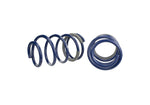 Ford Racing M-5300-PA - Suspension Strut and Coil Spring Kit