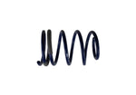 Ford Racing M-5300-KA - Suspension Strut and Coil Spring Kit
