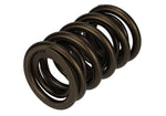 Ford Racing M-6513-17341 - Engine Valve Spring Kit