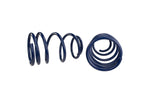 Ford Racing M-5300-L - Coil Spring Lowering Kit