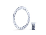 Ford Racing M-1007-DC17B - Disc Rim and Wheel Assembly