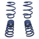 Ford Racing M-5300-W - Suspension Strut and Coil Spring Kit
