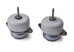 Ford Racing M-6038-M50 - Engine Mount