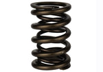 Ford Racing M-6513-17341 - Engine Valve Spring Kit