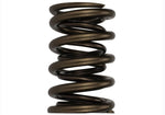 Ford Racing M-6513-17341 - Engine Valve Spring Kit