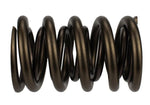 Ford Racing M-6513-17341 - Engine Valve Spring Kit