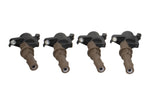 Ford Racing M-12029-3V - Ignition Coil Kit