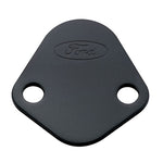 Ford Racing 302-291 - Fuel Pump Block-Off Plate
