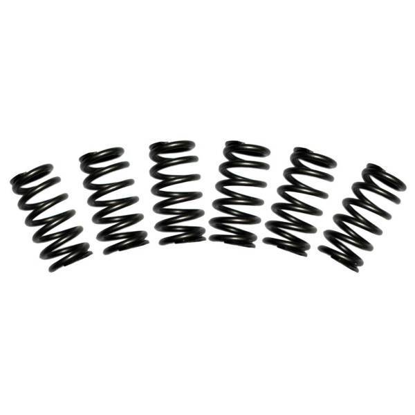 BD Diesel - BD Diesel BD 5.9L Cummins Valve Spring Kit 60lbs Dodge 1988-1998 12-valve 1030060