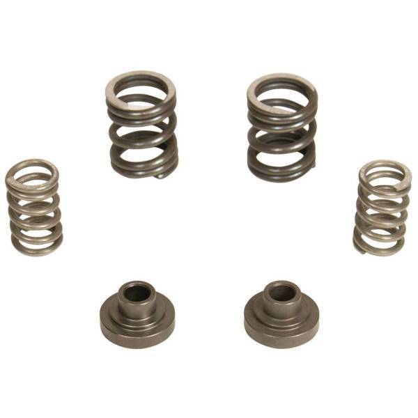 BD Diesel - BD Diesel BD 5.9L Cummins Governor Springs P7100 Pump 3000RPM Dodge 1994-1998 12-valve 1040187