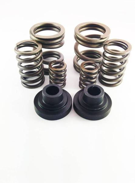 Dynomite Diesel - Dynomite Diesel Dodge 94-98 P-Pump 3,000 and 4,000 RPM Governor Spring Kit - DDP.3/4KGSK