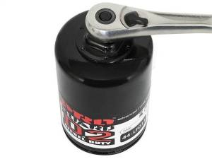 aFe - aFe Pro GUARD D2 Oil Filter 99-05 GM Gas Trucks V8 4.8L/5.3L/6.0L (4 Pack) - 44-LF011-MB - Image 3