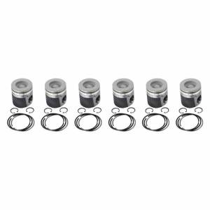 Industrial Injection Dodge Marine Big Bowl Pistons For 89-98 Cummins 12 Valve Stock .020 Over - PDM-03523.020