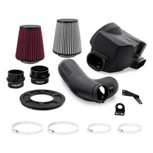 Mishimoto Performance Air Intake, Fits 17-21 Ford F-150 2.7L & 3.5L, Dry Washable Filter - MMAI-F35T-17DW