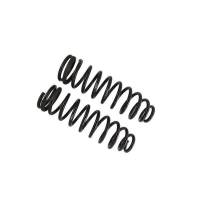 Suspension - Coil Springs - Coil Springs